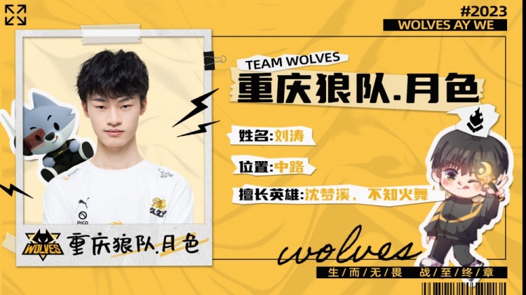 泽丽 泽丽
